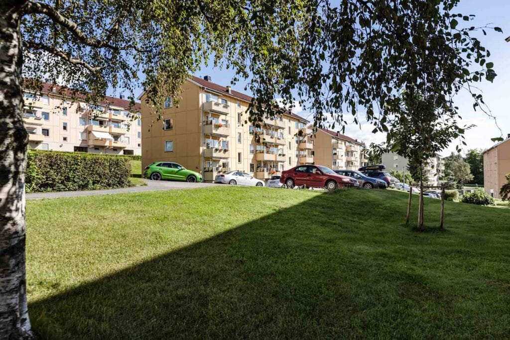 piperehabltering sameie